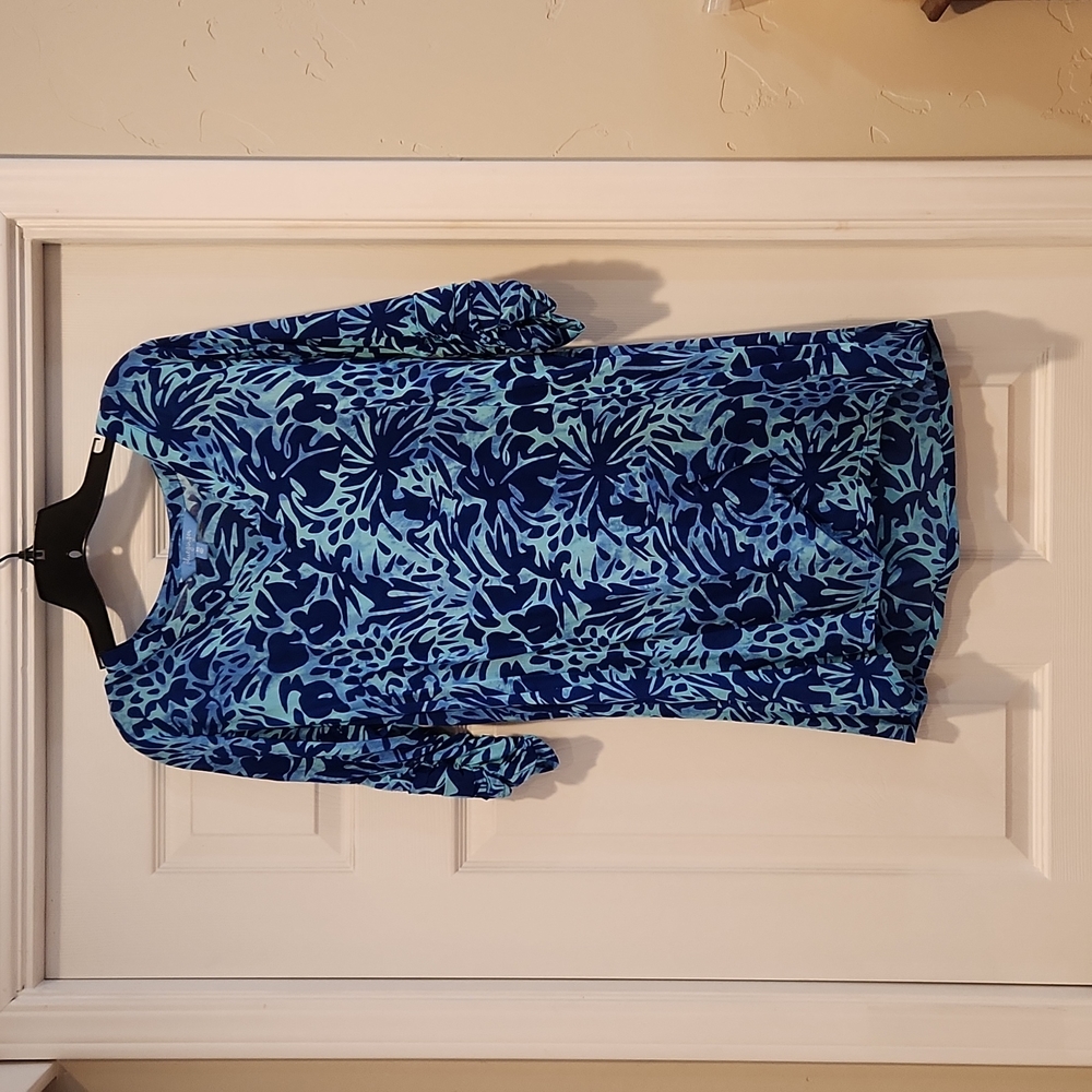 NWOT Blue Ginger dress